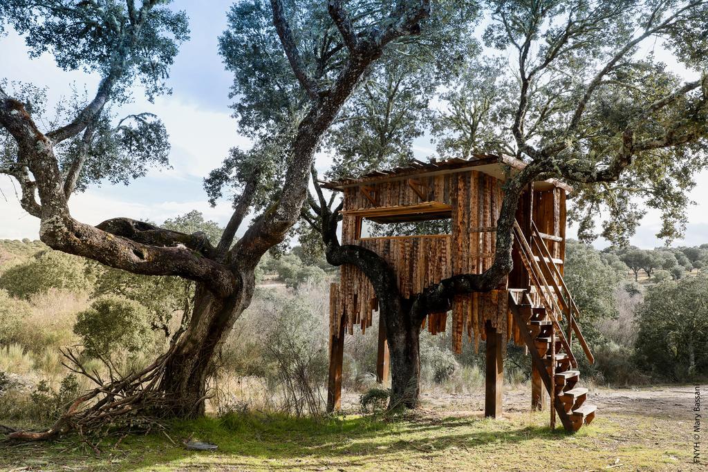 Eco-Lodge En La Reserva Privada Campanarios De Azaba - Proyecto De Conservacion Espeja Kültér fotó