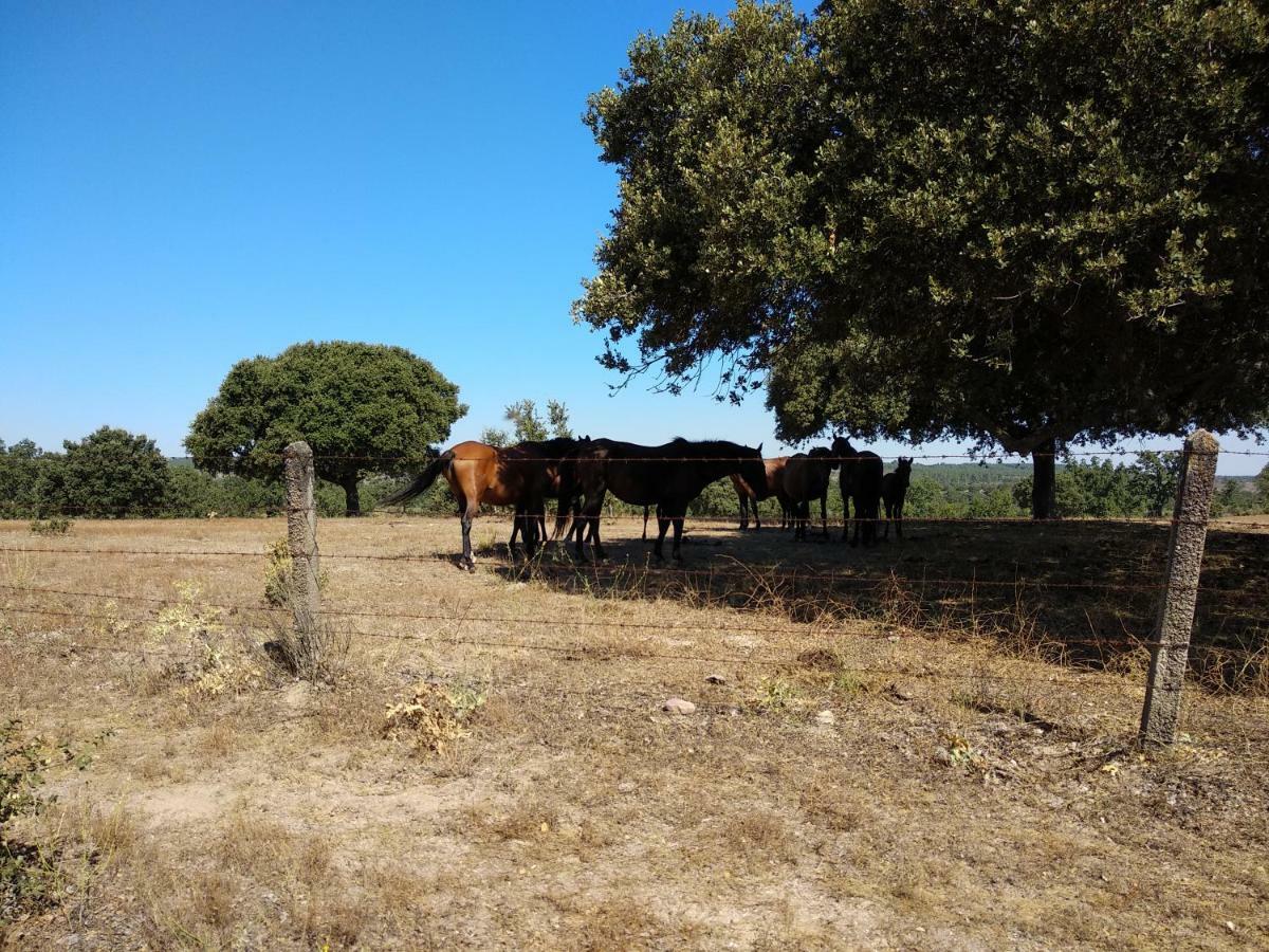 Eco-Lodge En La Reserva Privada Campanarios De Azaba - Proyecto De Conservacion Espeja Kültér fotó