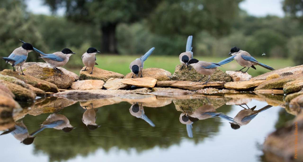 Eco-Lodge En La Reserva Privada Campanarios De Azaba - Proyecto De Conservacion Espeja Kültér fotó